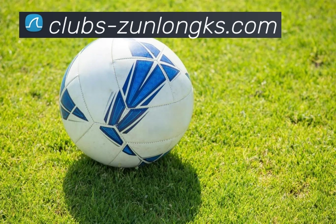 尊龙凯时官网平台生态图